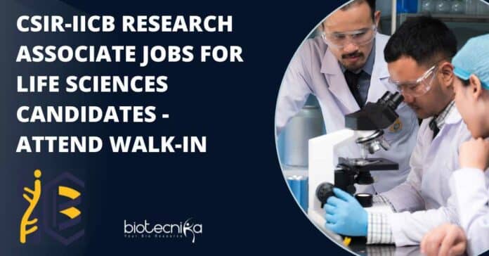 CSIR-IICB Research Associate Jobs