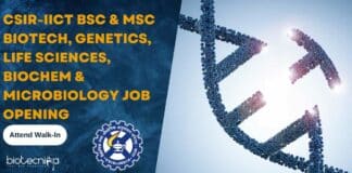 CSIR-IICT Project Vacancies 2023