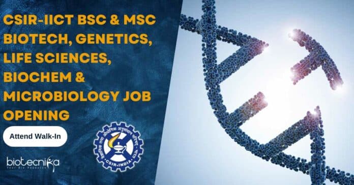 CSIR-IICT Project Vacancies 2023
