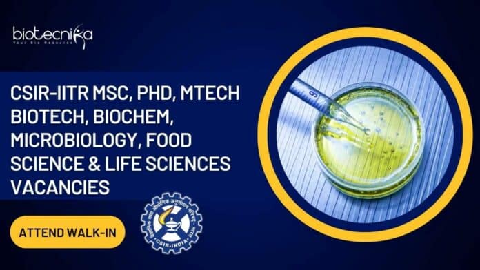CSIR-IITR Project Recruitment 2023