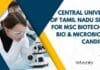 Central University of Tamil Nadu SRF Job For MSc Biotech, Mol Bio & Microbiology Candidates CUTN SRF Post Opening