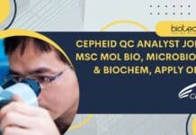 Cepheid QC Analyst Vacancy