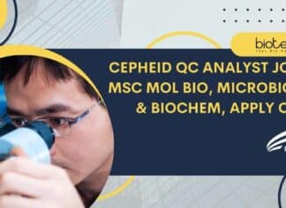 Cepheid QC Analyst Vacancy