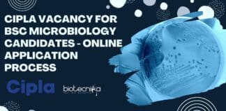 Cipla Vacancy For BSc