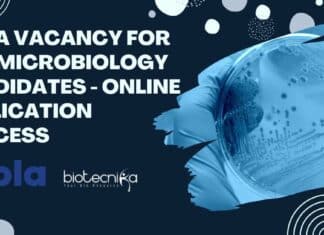 Cipla Vacancy For BSc
