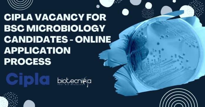 Cipla Vacancy For BSc