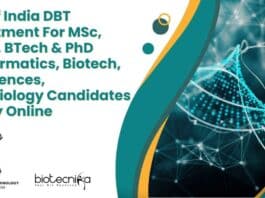 DBT India Jobs 2023