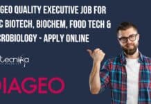 DIAGEO Quality Executive Opening
