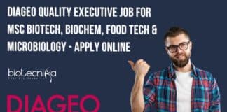 DIAGEO Quality Executive Opening