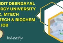 Pandit Deendayal Energy University