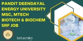Pandit Deendayal Energy University