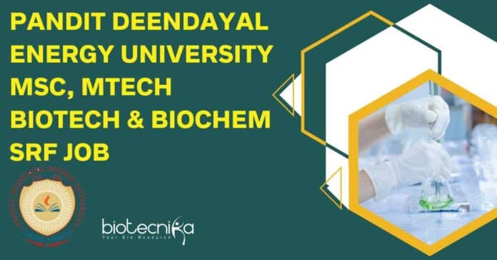 Pandit Deendayal Energy University