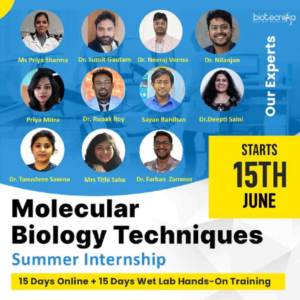 Molecular Biology Techniques Internship