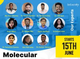 Molecular Biology Techniques Internship