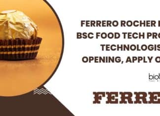 Ferrero Rocher MSc