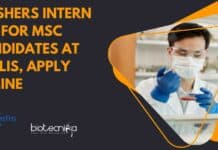 Freshers Intern Job For