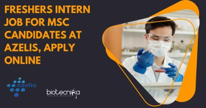 Freshers Intern Job For