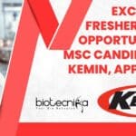 Freshers Intern Vacancies