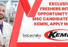 Freshers Intern Vacancies