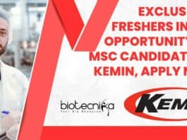 Freshers Intern Vacancies