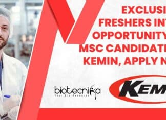 Freshers Intern Vacancies