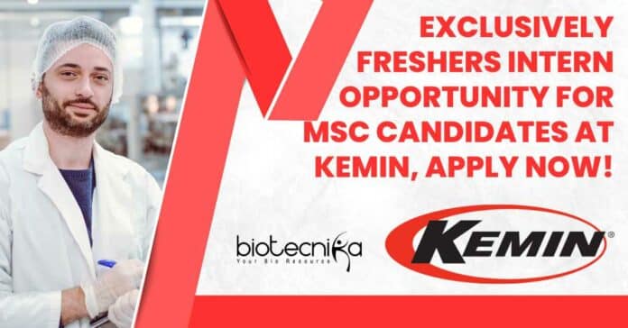 Freshers Intern Vacancies