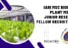 IARI MSc Biochem, Plant Mol Bio Junior Research Fellow Recruitment IARI MSc Biochem
