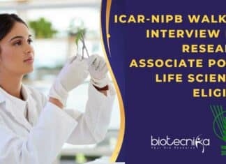 ICAR-NIPB Research Associate Post