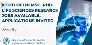 ICGEB Delhi Research Positions