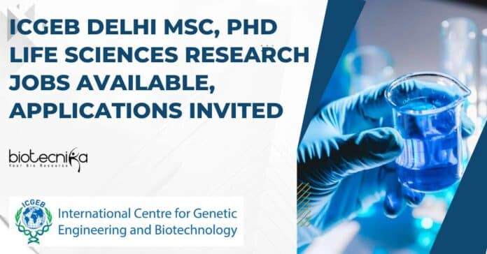ICGEB Delhi Research Positions