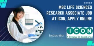 ICON MSc Research Associate Job