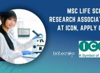 ICON MSc Research Associate Job