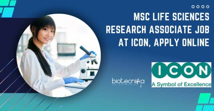 ICON MSc Research Associate Job