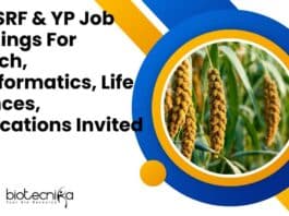 IIMR SRF & YP