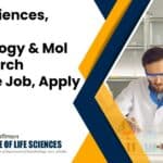 ILS Recruitment Research Associate
