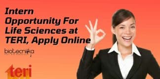 Intern Opportunity