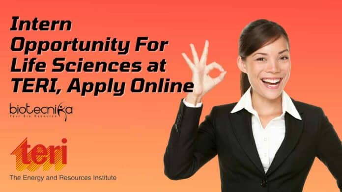 Intern Opportunity