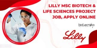 Lilly MSc Biotech Jobs