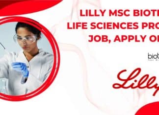 Lilly MSc Biotech Jobs