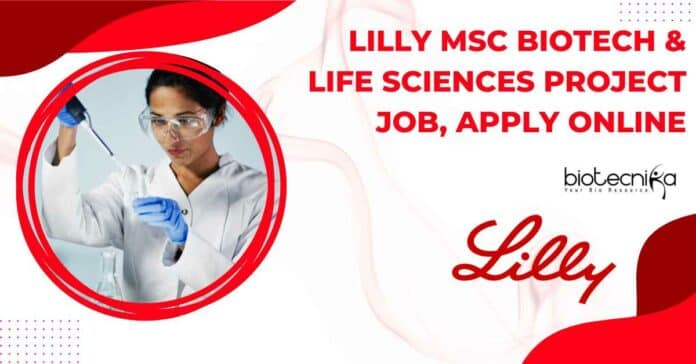 Lilly MSc Biotech Jobs