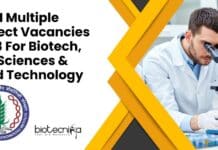 NABI Project Vacancies Latest