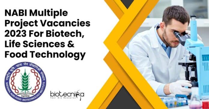 NABI Project Vacancies Latest