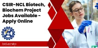 NCL Project Jobs Latest