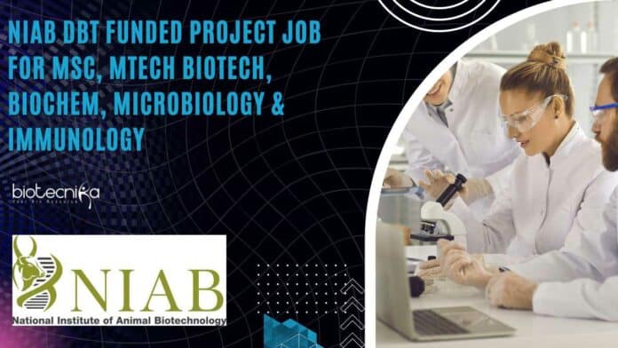 NIAB MSc Immunology Project