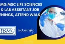 NIBMG Lab Assistant