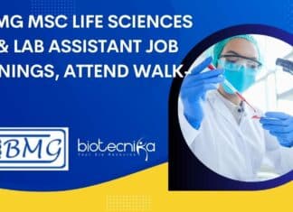 NIBMG Lab Assistant