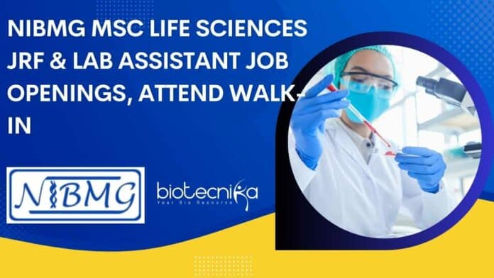 NIBMG Lab Assistant