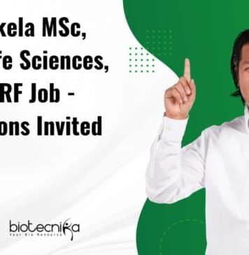 NIT Rourkela MSc, MTech Life Sciences, Biotech JRF Job – Applications Invited NIT Rourkela JRF Opening 2023