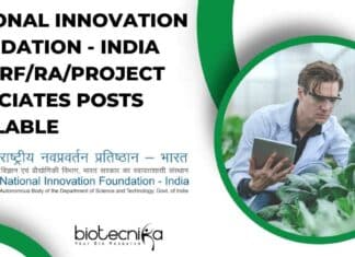 National Innovation Foundation Vacancies