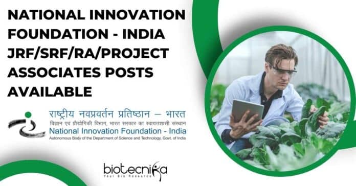 National Innovation Foundation Vacancies